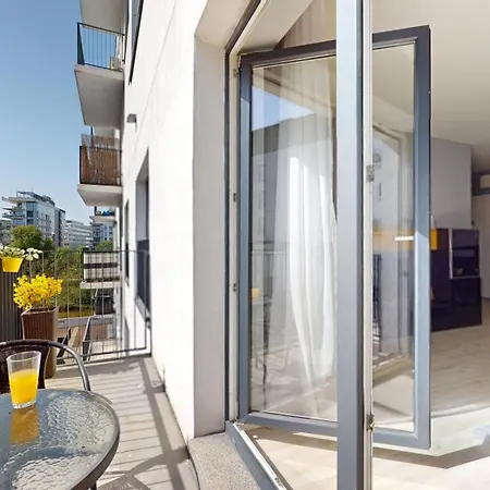 Golden Hour Rose - Kurkowa 14 *