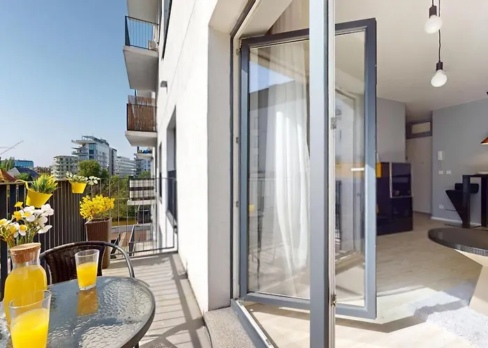 Golden Hour Rose - Kurkowa 14 *